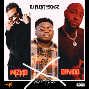 DJ PlentySongz - Best Of Davido & Wizkid 2023 Mix