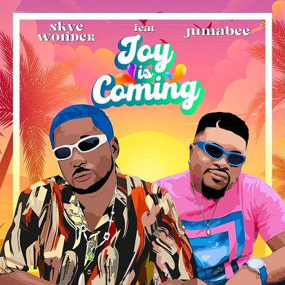 Skye Wonder - Joy Is Coming