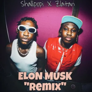 Shallipopi & Zlatan – Elon Musk (Remix)
