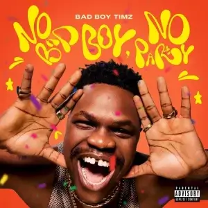 Bad Boy Timz – No Bad Boy No Party Album