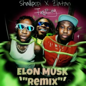 Shallipopi & Zlatan & Fireboy DML - Elon Musk Remix