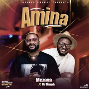 Mezaya ft. Mr Murph - Amina