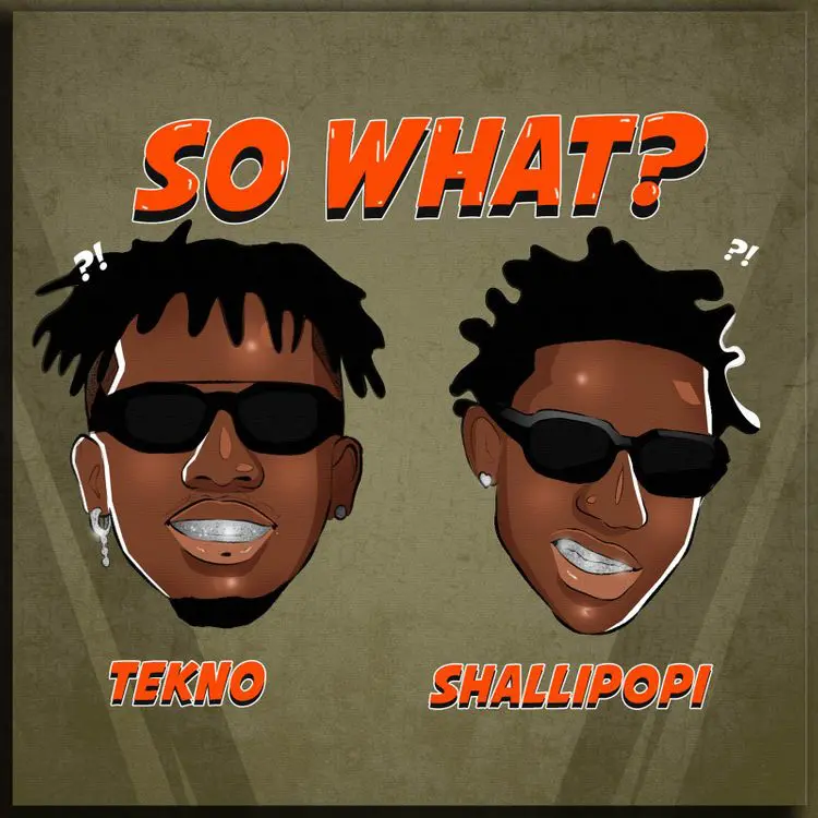 Tekno & Shallipopi - So What