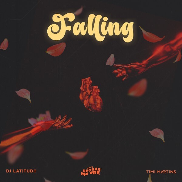 DJ Latitude - Falling