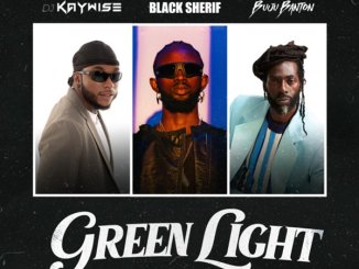 DJ Kaywise - Green Light