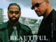 Will Smith - Beautiful Scars