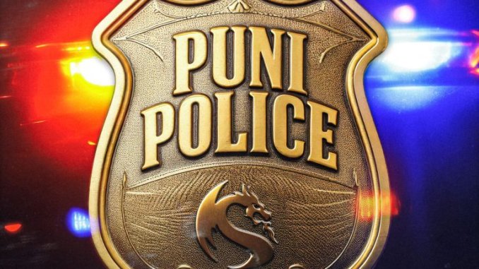 Sheensea - Puni Police