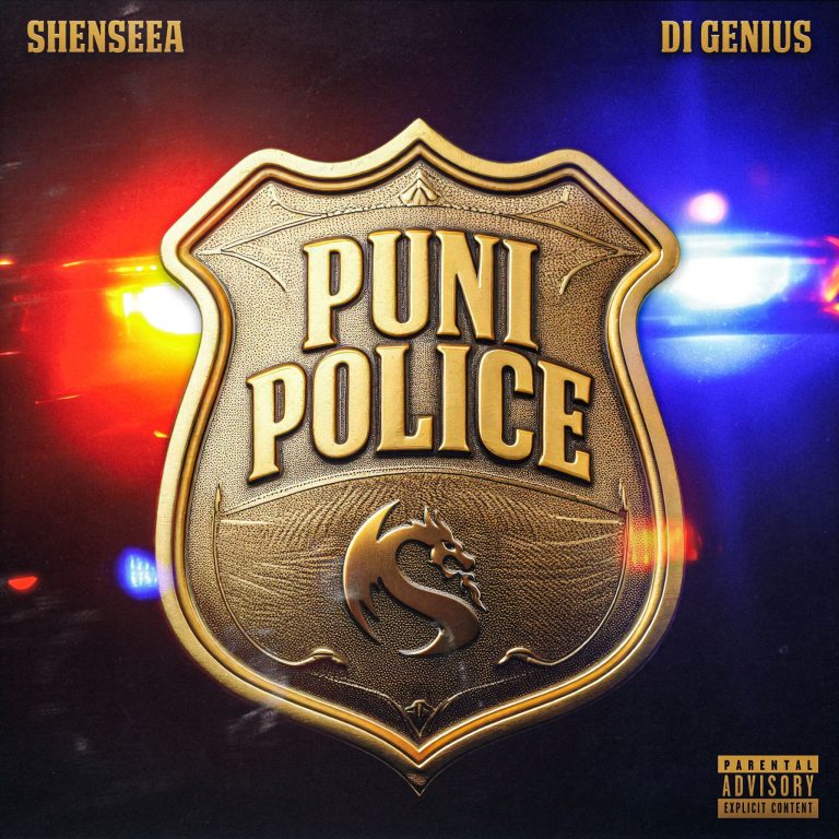 Sheensea - Puni Police