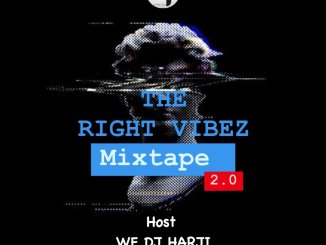 WF DJ Harji - Right Vibez Mixtape 2.0