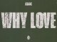 Asake - Why Love Lyrics