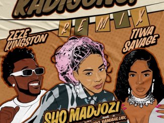 Sho Madjozi - Kadigong remix