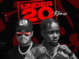 Rhymer_Lee & Oluwadolarz - Under 20 Remix