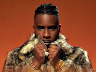 Maleek Berry - If Only Love Was Enough Album