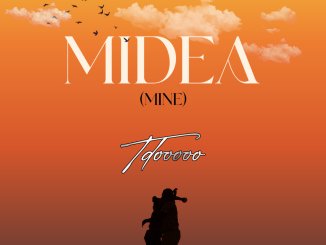 Tdooooo - Midea (Mine)