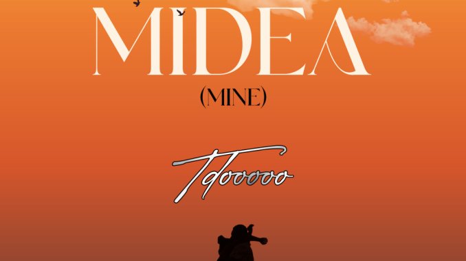Tdooooo - Midea (Mine)