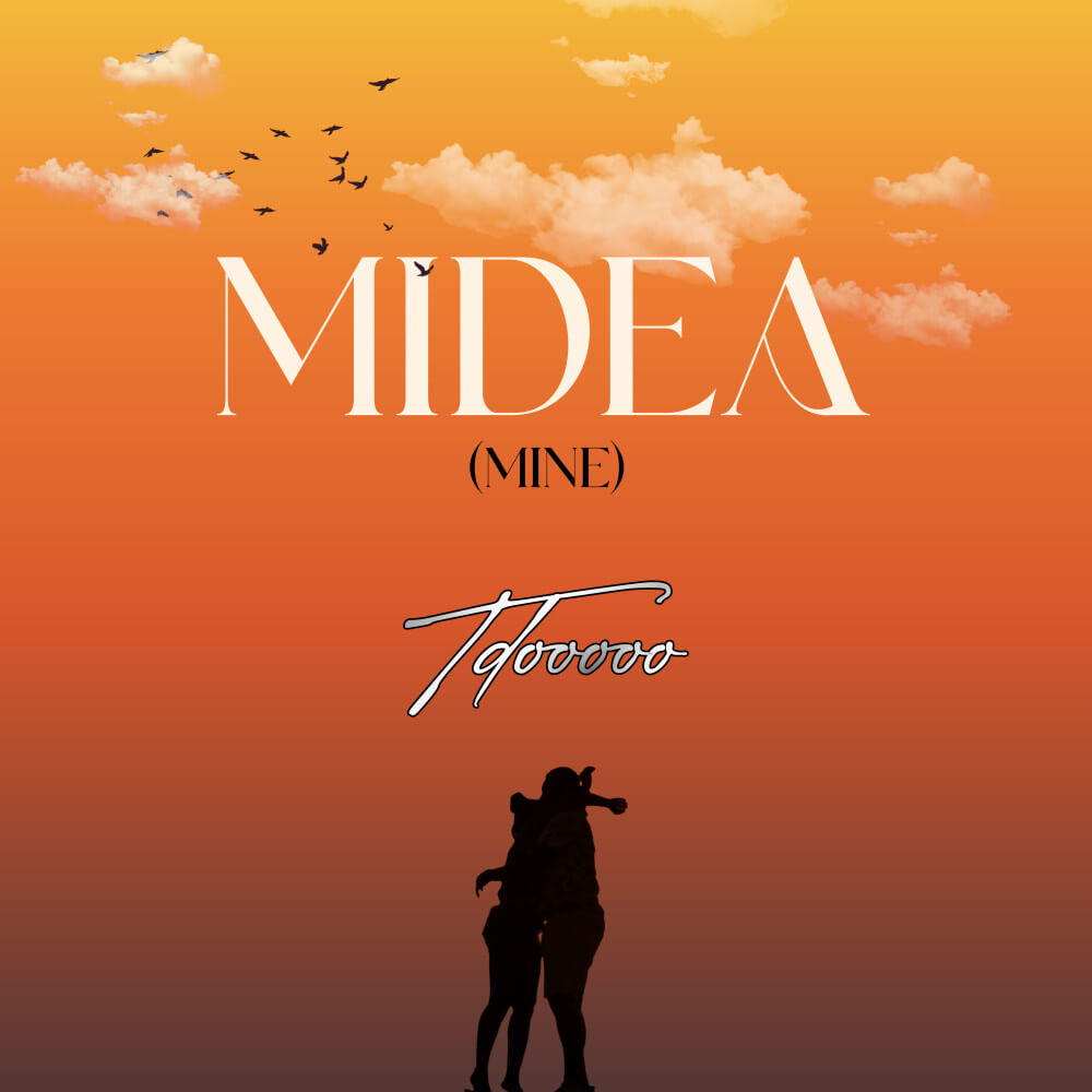 Tdooooo - Midea (Mine)