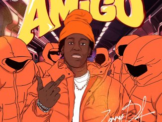 Zerrydl - My Amigo